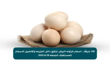 138 جنيهًا.. أسعار كرتونة البيض ترتفع داخل المزرعة وتفاصيل الأسعار للمستهلك الجمعة 29-8-2025